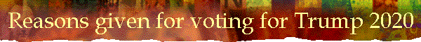 Reasons given for voting for Trump 2020